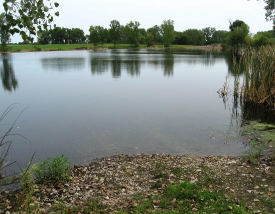 Lancaster (Paul Bloch Memorial Pond)