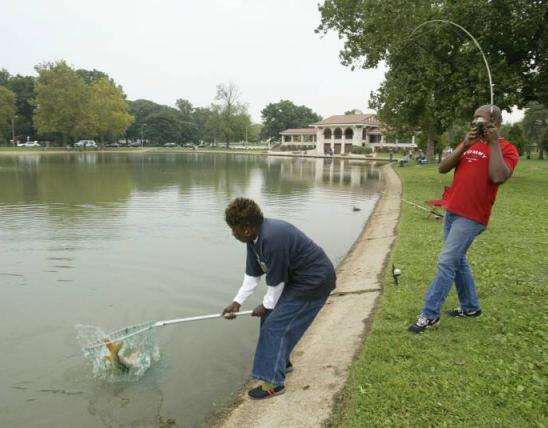 A woman netting a fish while a man reels it in at St Louis (O'Fallon Park Lake)