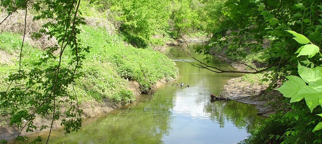 Stream at Gravois Creek