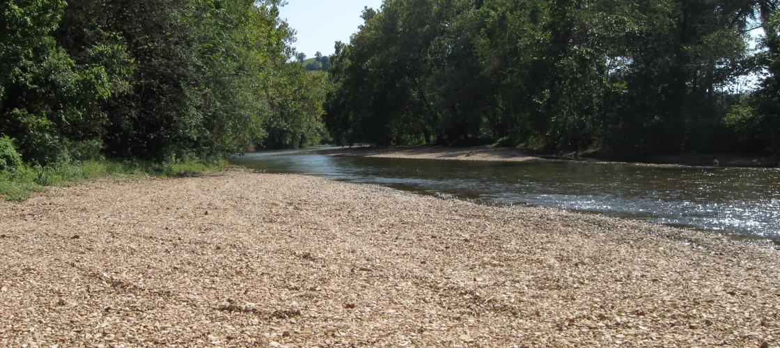 stream bank at Lower Flat Creek Access
