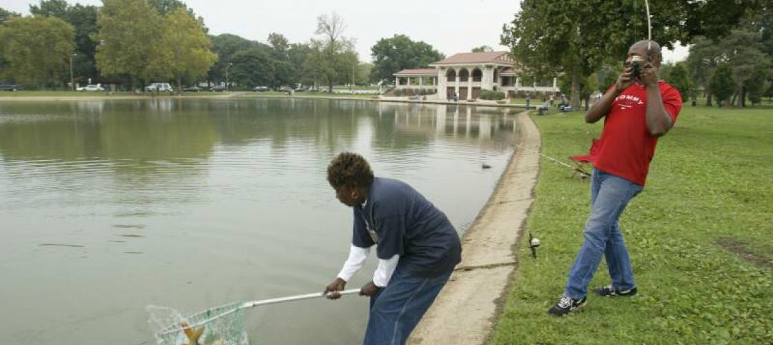 A woman netting a fish while a man reels it in at St Louis (O'Fallon Park Lake)