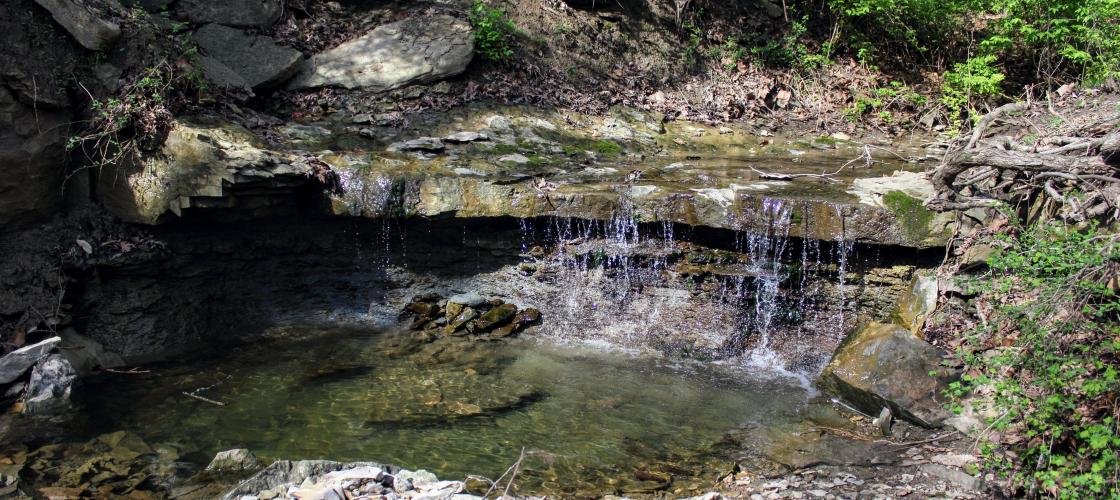 Water falls over a rock ledge into a small pool.