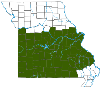 Flat-Headed Snake Distribution Map