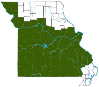 Great Plains Ratsnake Distribution Map