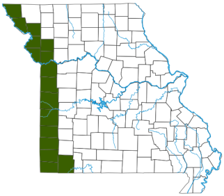 Great Plains Skink Distribution Map