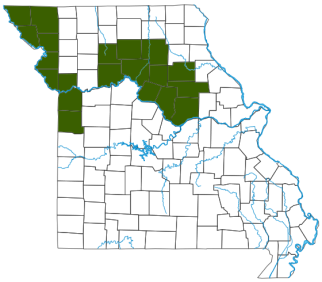 Prairie Massasuga Distribution Map