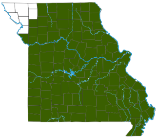 Southern Leopard Frog Distribution Map
