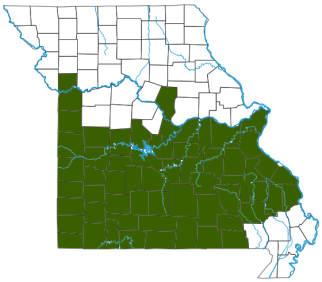 Eastern Collared Lizard Distribution Map
