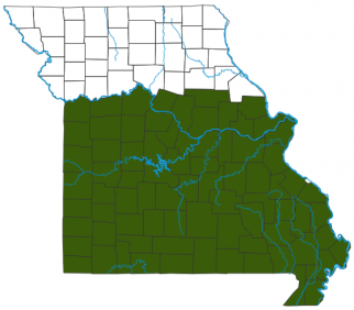 image of American Water Willow Distribution Map