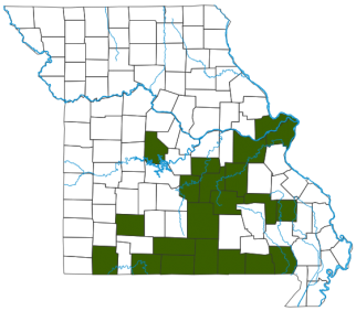 Bachman's Sparrow Distribution Map