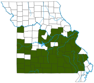 American Black Bear Distribution Map