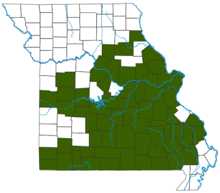 Central Newt Distribution Map