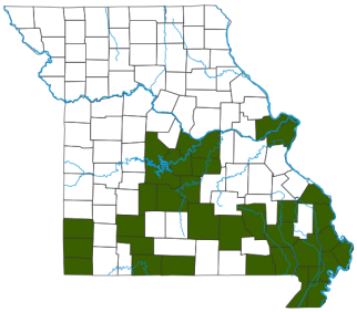 Eastern River Cooter Distribution Map