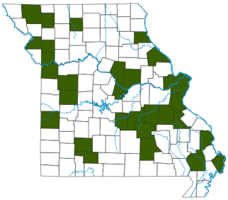 Evening Grosbeak Distribution Map