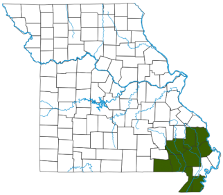 Gray Speckled Crayfish Distribution Map