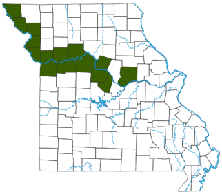 Great Plains Toad Distribution Map