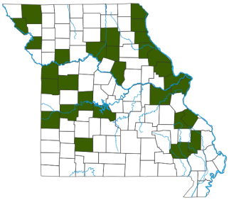 Greater Scaup Distribution Map