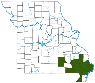 Mississippi Mud Turtle Distribution Map