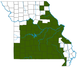 Pickerel Frog Distribution Map