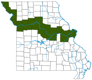 Plains Spadefoot Distribution Map