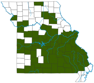 Prairie Warbler Distribution Map