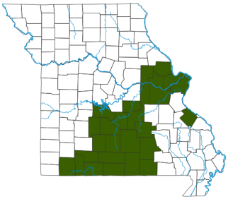 Ringed Salamander Distribution Map