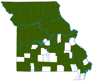 Rose-Breasted Grosbeak Distribution Map