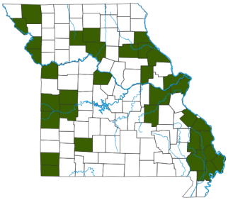 Rusty Blackbird Distribution Map