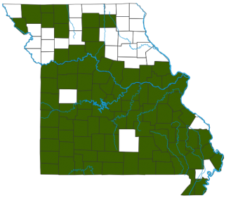 Speckled Kingsnake Distribution Map