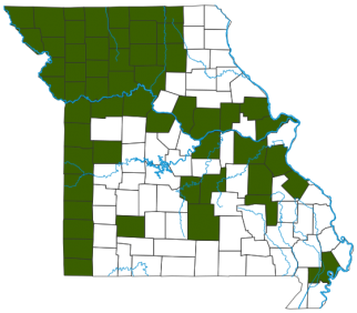 Western Meadowlark Distribution Map