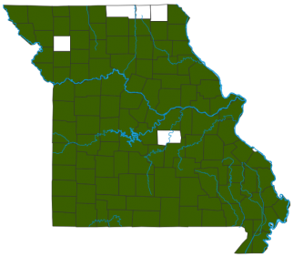 Western Ratsnake Distribution Map