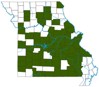 Western Slender Glass Lizard Distribution Map
