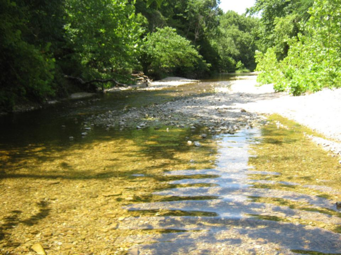 Wide, shallow creek with trees and shrubs on its banks