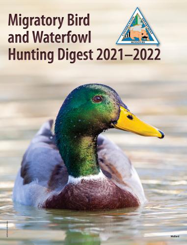 Cover of 2021 Migratory Bird and Waterfowl Hunting Digest