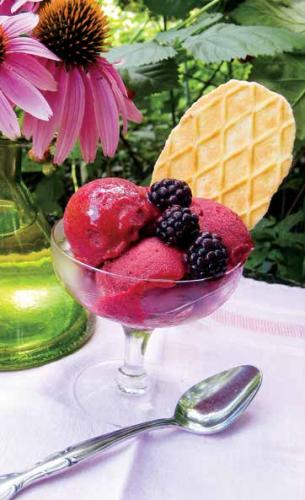 blackberry gelato