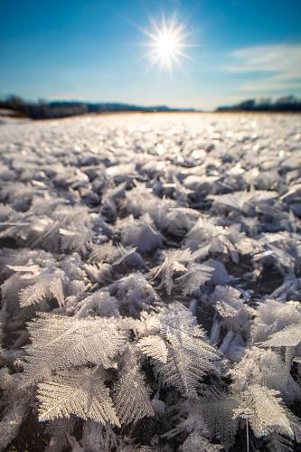 Frozen Missouri River