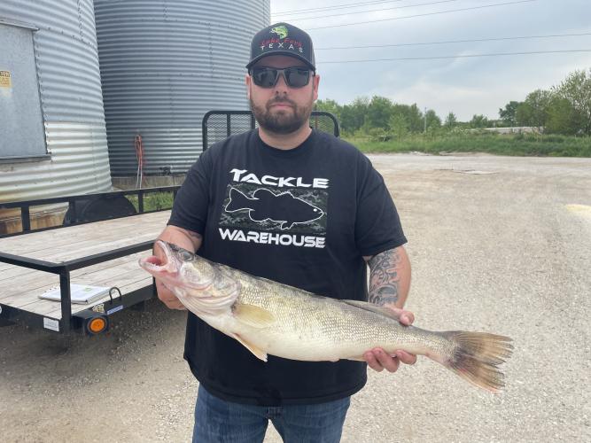 Tim Stilling in black ball cap and sunglasses, with outstretched arms, holds walleye. 