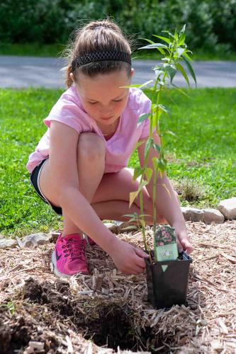 Little girl planting flowers