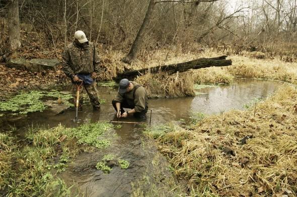 Trapping for a beaver