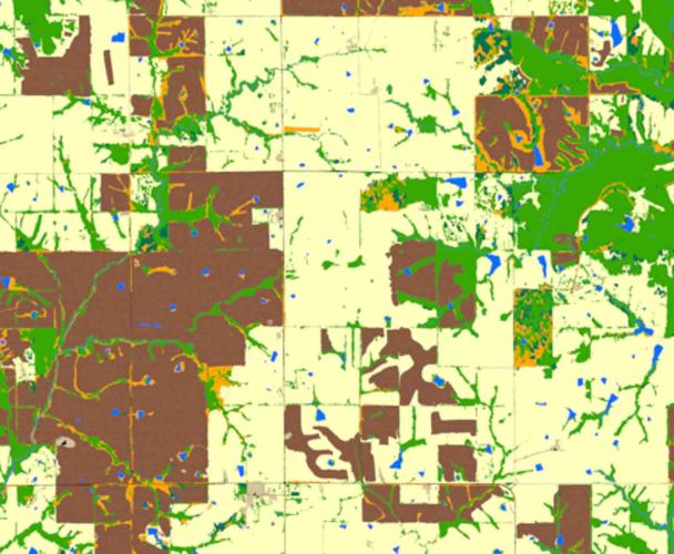GIS map of grassland, cropland, shrubs, and trees