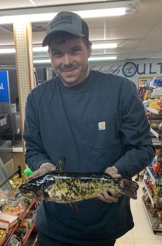 Mitchell Dering holds brown bullhead state record