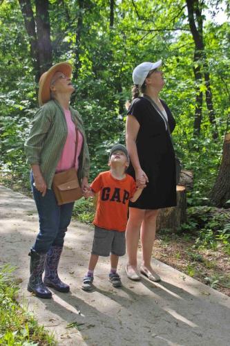 Grandma, mom and son look at trees on nature walk