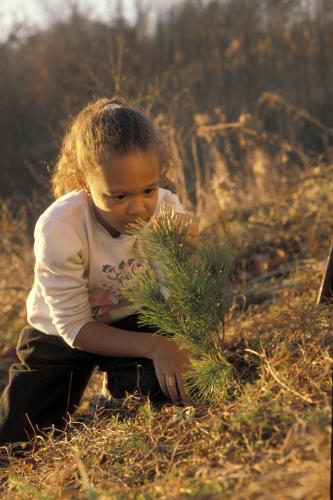 Arbor Day girl planting tree