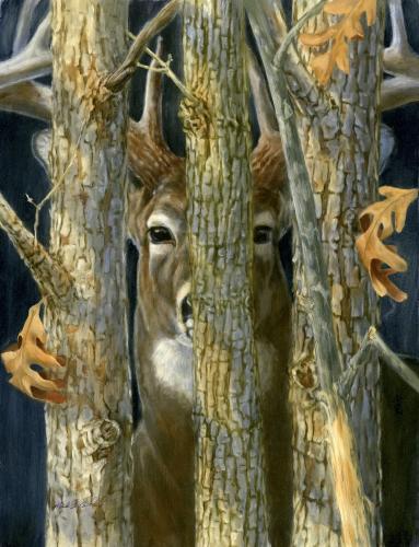 deer hidden