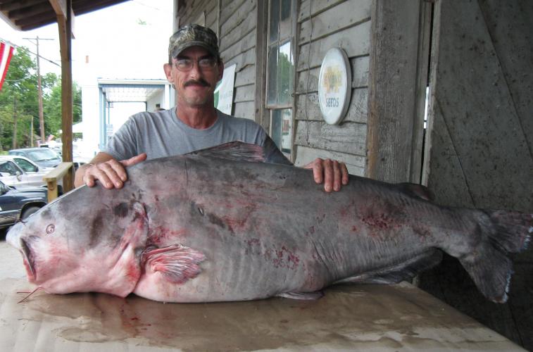 Greg Bernal with 130-pound blue catfish