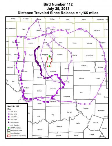 Map of Prairie Chicken 1,165-Mile Journey