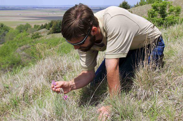 Examining Plants at a Loess Hills Prairie