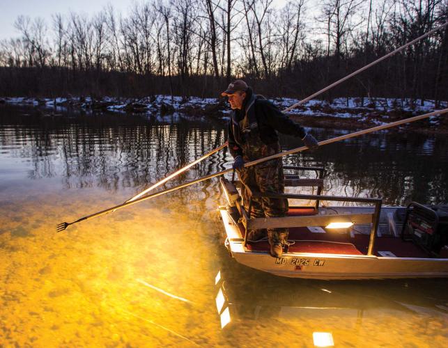 Fish Gigging An Ozark Tradition Missouri Department of Conservation