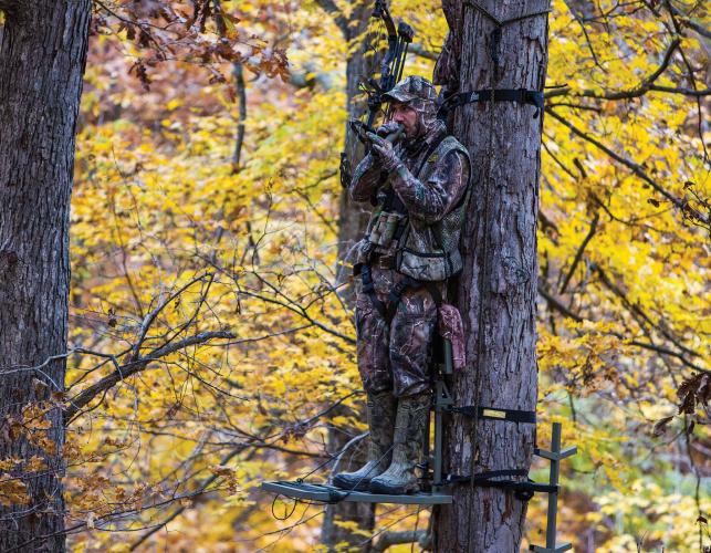 Deer hunter in a tree stand