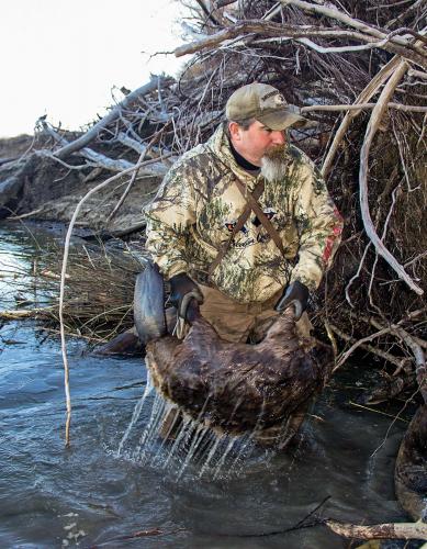 The Lure of Trapping  Missouri Department of Conservation